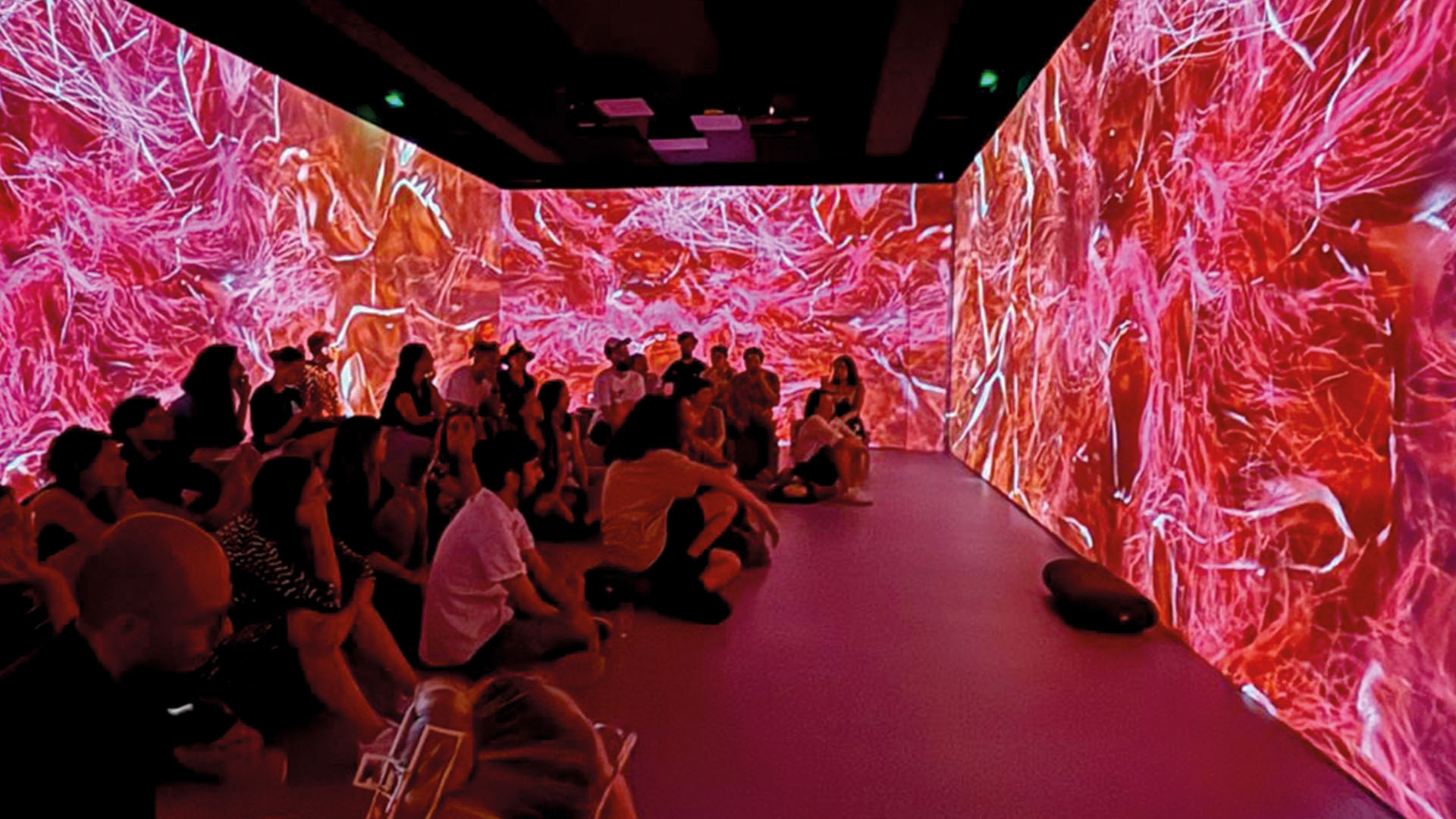 BITÁCORA DE VIAJE <br>Puente escénico / Cataluña 2025 </br>