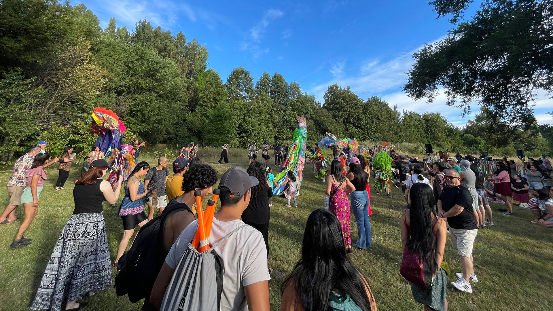 LA JUNTA VERDE 2026 <br> reúne artes vivas, comunidad y conciencia ambiental en espacio txawün </br>